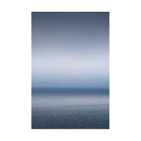 Alan Majchrowicz 'Bay Of Fundy Fog' Canvas Art,16x24